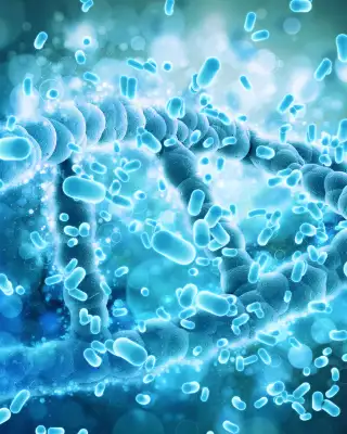 Microbiome  FMT